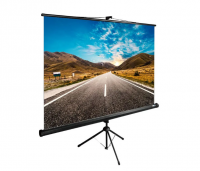 Экран 89' напольный