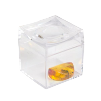 Увеличительная шкатулка